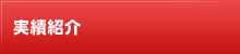 実績紹介